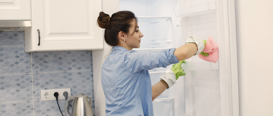 frost-free-vs-cycle-defrost