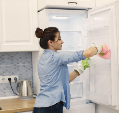 frost-free-vs-cycle-defrost